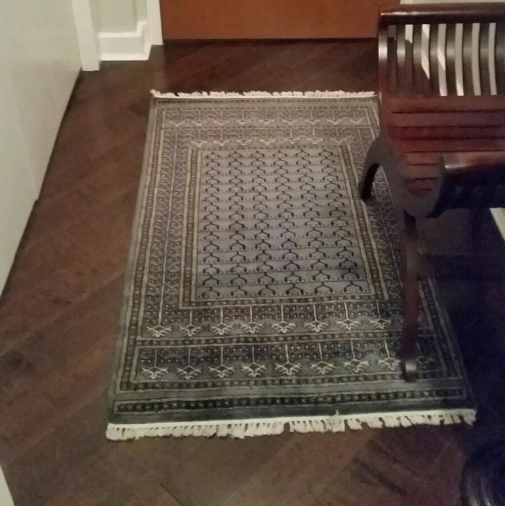 AGRA India area rug